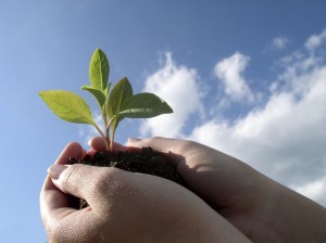 plant clouds hands